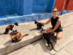 Sien Tan with stray cats